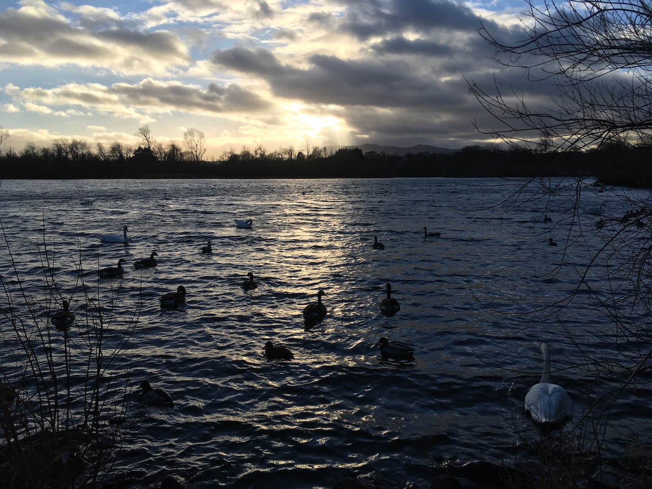 Duddingston Loch