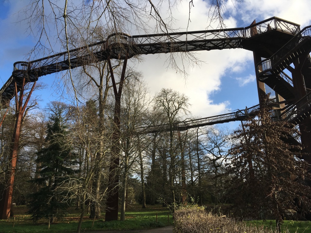 Treetop Walkway，树顶走廊