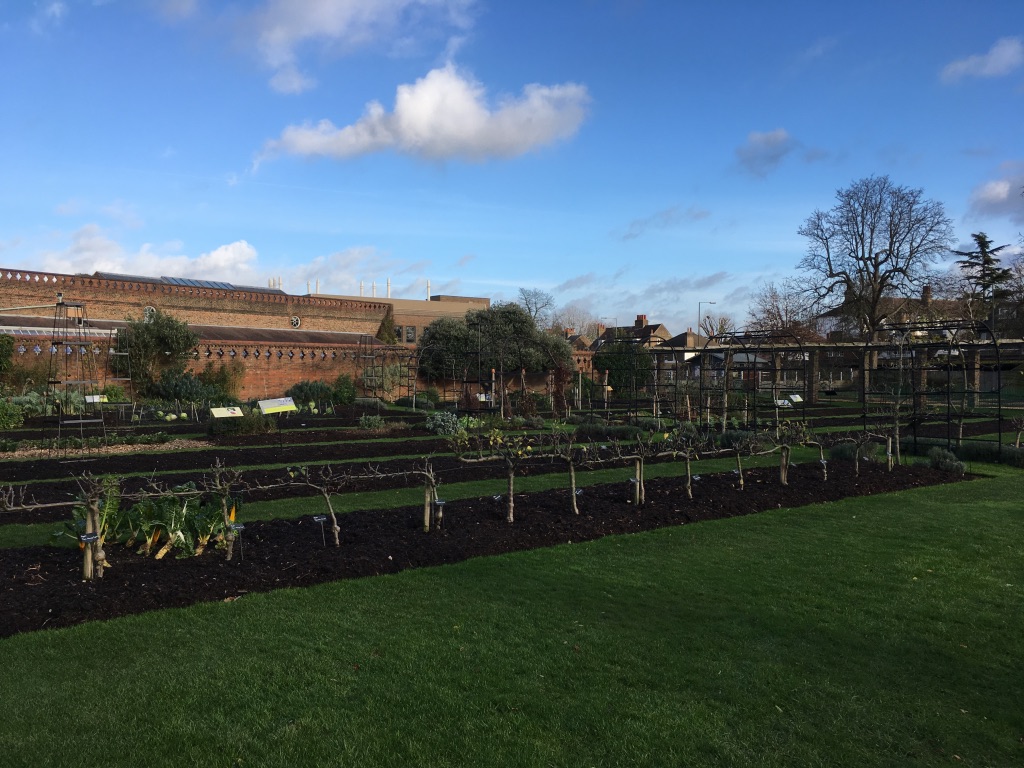 Kitchen Garden，是个菜园