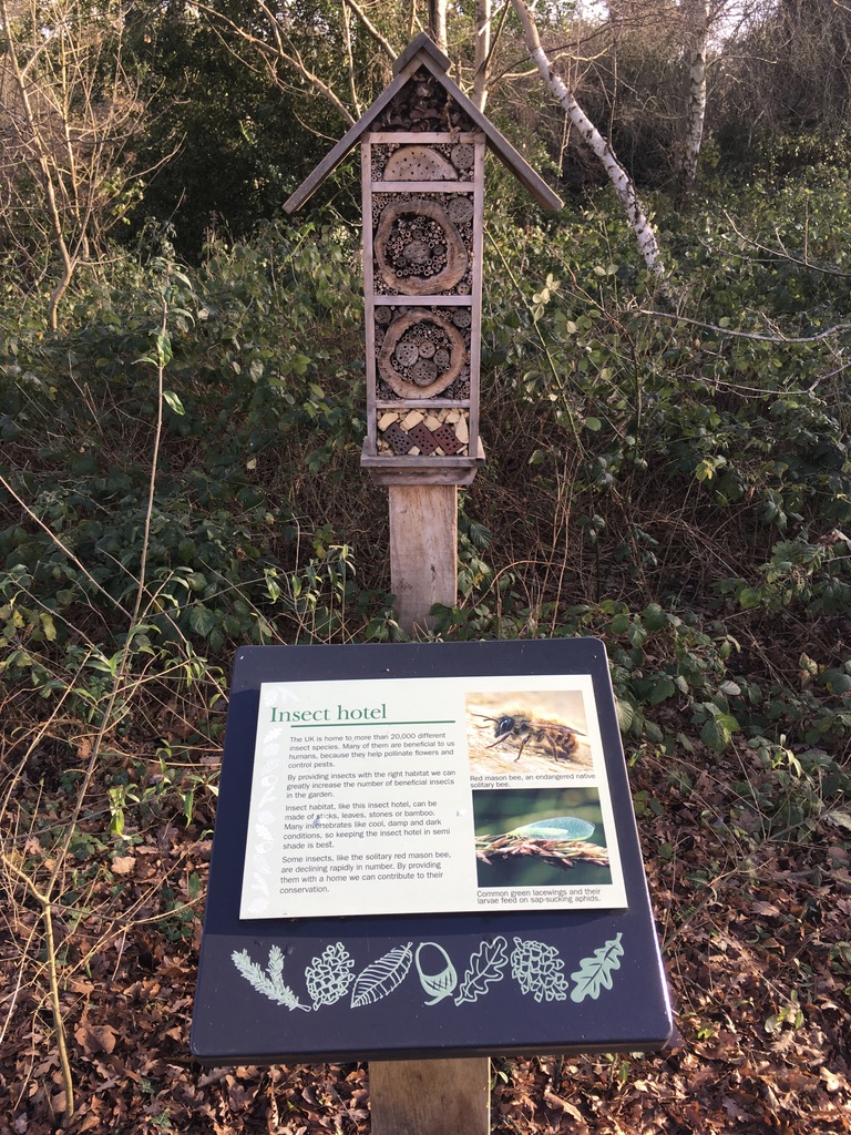 昆虫旅馆（insect hotel），随处可见这种为小动物搭建的房子