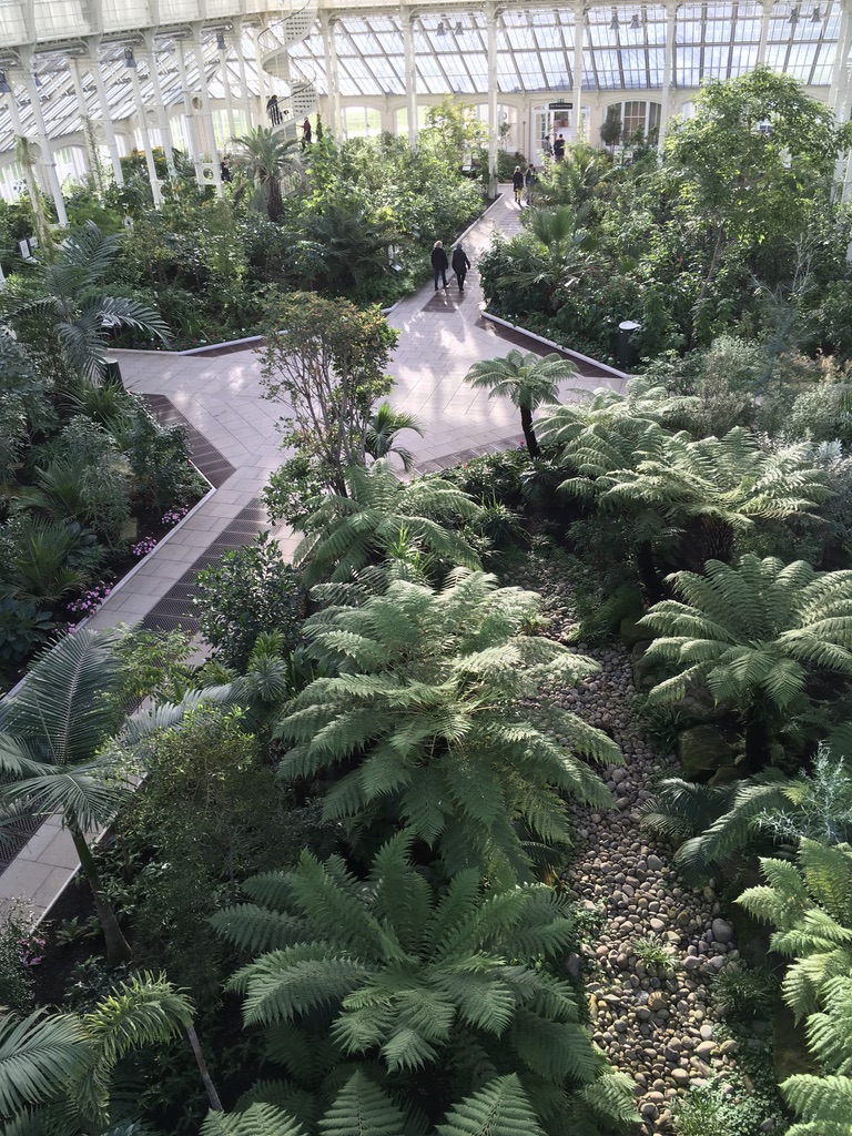 里面是一些温带的珍惜植物