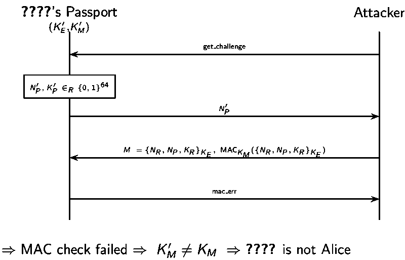 Attack on French passport