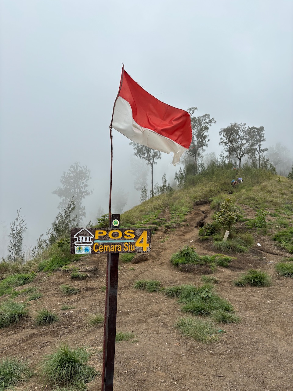 POS 4