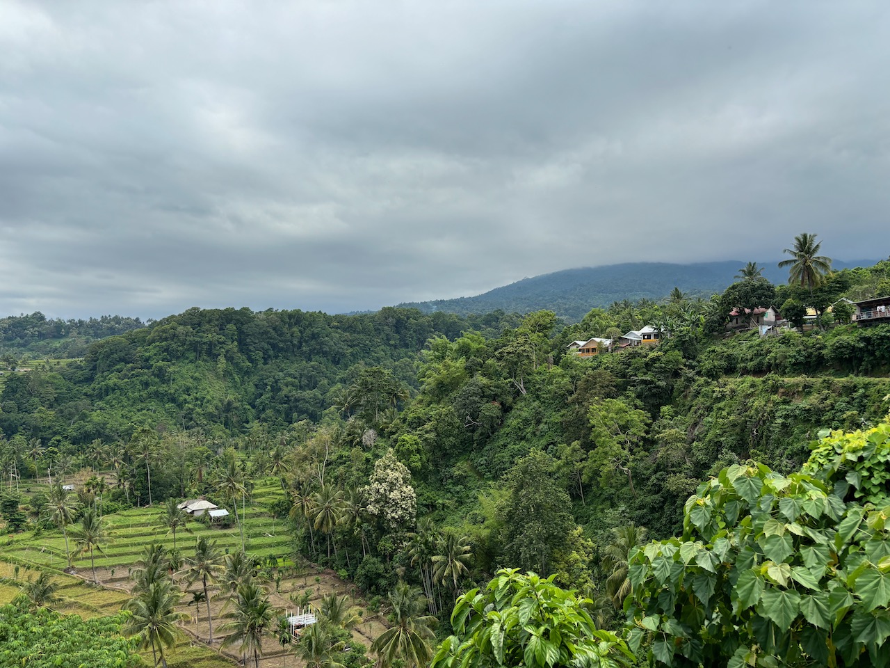 回到了Senaru village