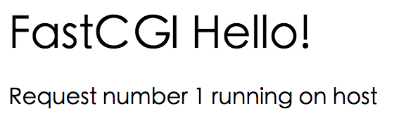 FastCGI程序运行效果图
